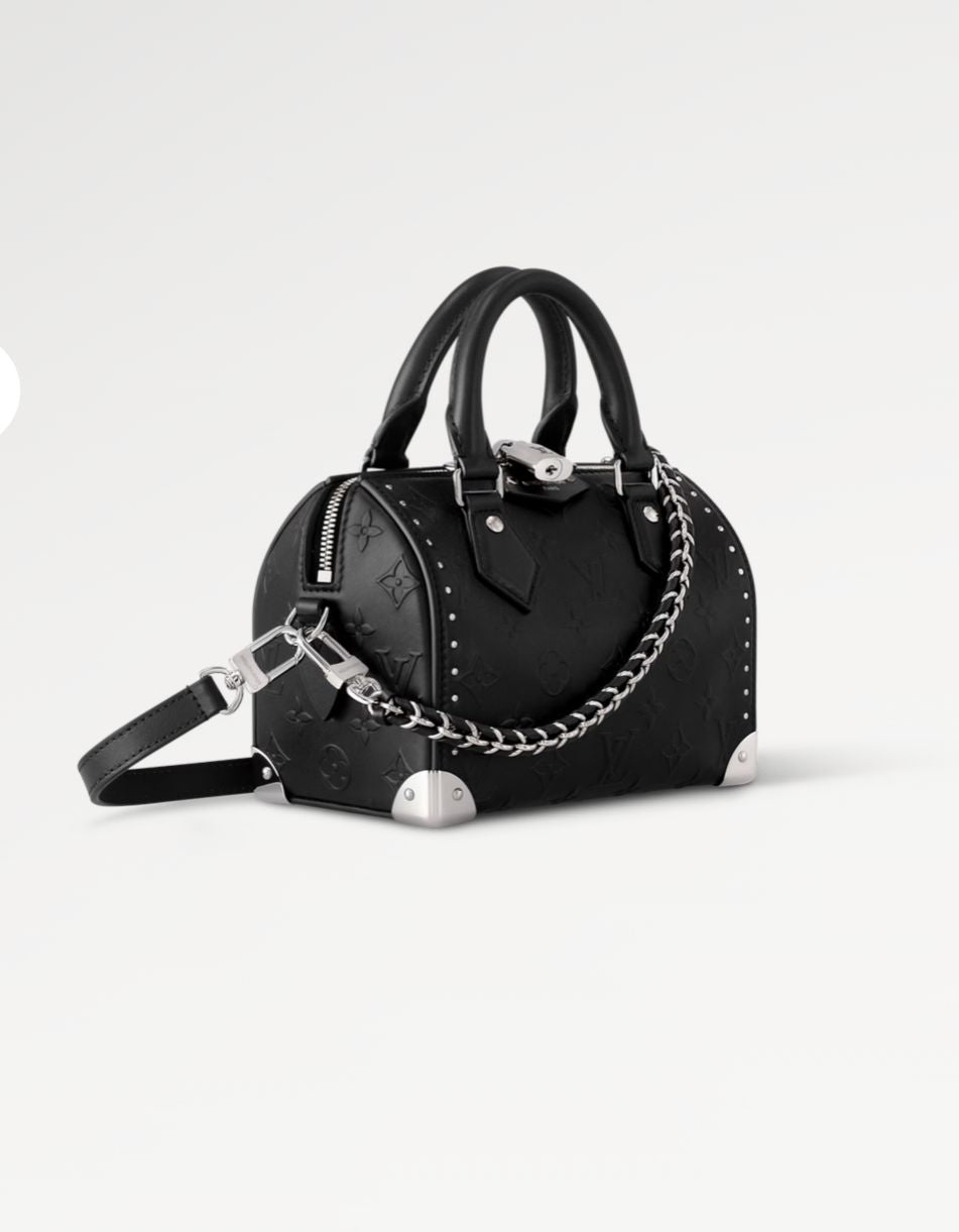 LOUIS VUITTON SPEEDY TRUNK